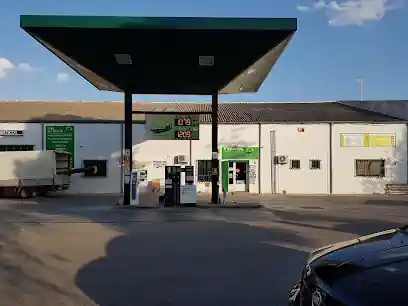 Lavamascotas Albacete
