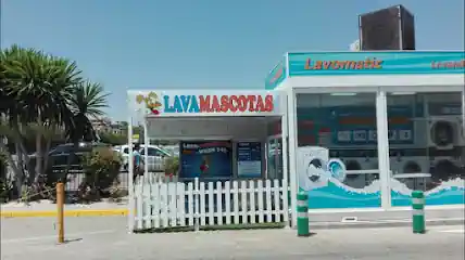 Lavamascotas Aljarafe