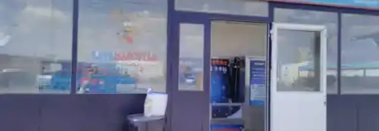 Lavamascotas Store