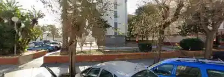 Leocan Educación Y Estética Canina
