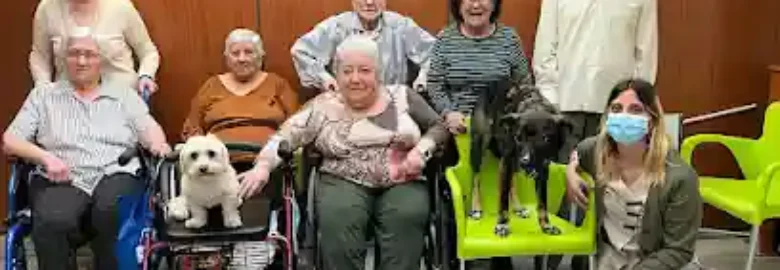 Link a dogs – Teràpia amb gossos – Terapia con perros Tarragona – Educación canina y adiestramiento