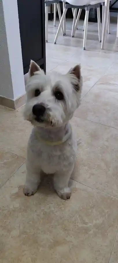 Lola Perruqueria