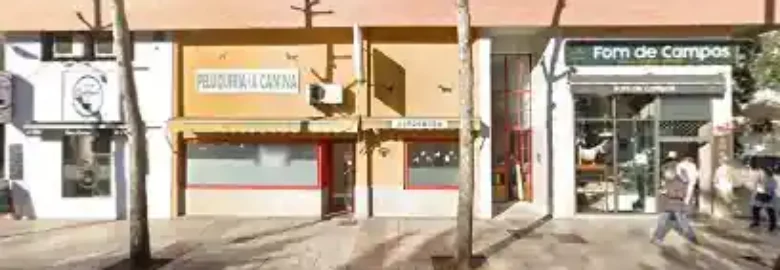 Los Castuos