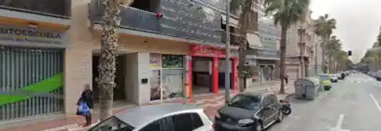 MAPI – Peluquería Canina