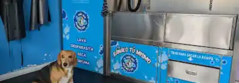 MÁS QUE BURBUJAS (AUTOLAVADO DE MASCOTAS)