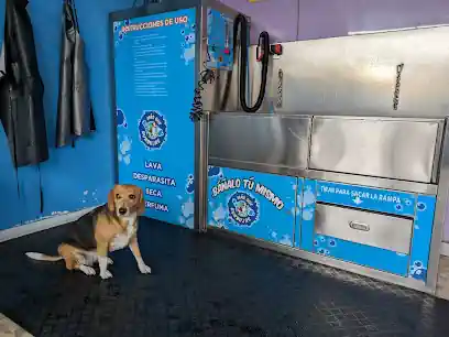 MÁS QUE BURBUJAS (AUTOLAVADO DE MASCOTAS)