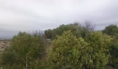 MASTINES LA REHALA DE MUNDA