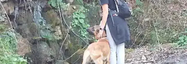 MAXIS K9