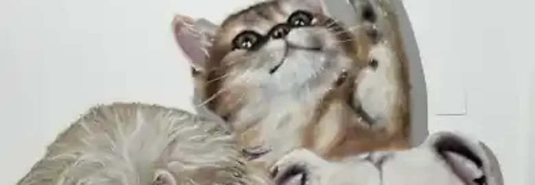 MISIGUAU PETS | Peluquería canina y felina
