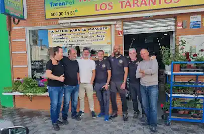 MUNDO ANIMAL – LOS TARANTOS