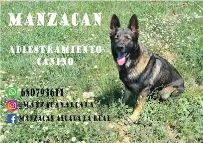 Manzacan