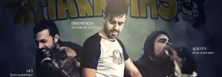 Markotas