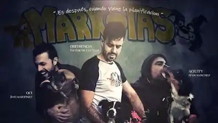 Markotas
