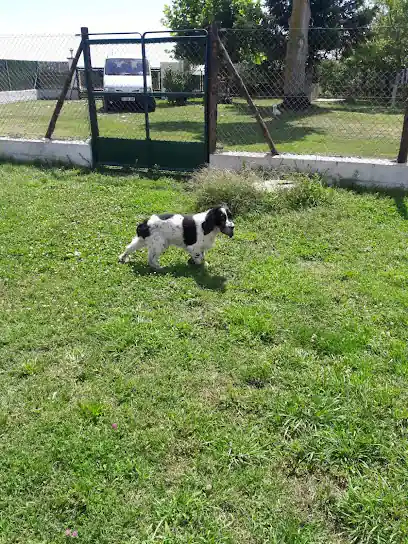 Mascocamping Residencia Canina