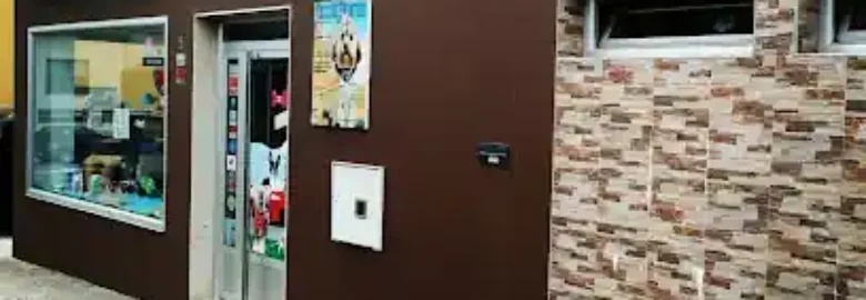Mascotas Modernas