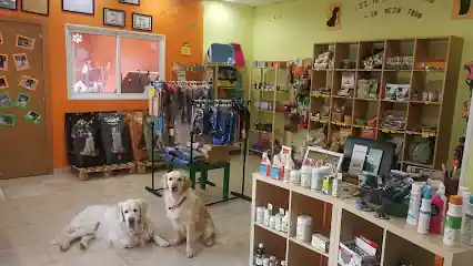 Másqpelos peluquería canina y felina