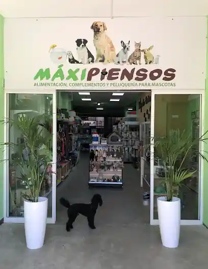 Maxipiensos