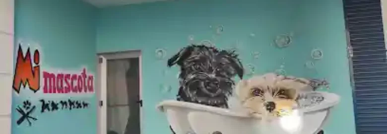 Mi Mascota barrocás