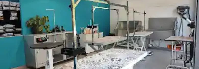 Mima’l Centre d’estètica canina i felina