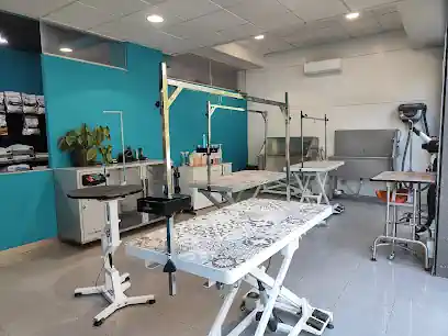 Mima’l Centre d’estètica canina i felina