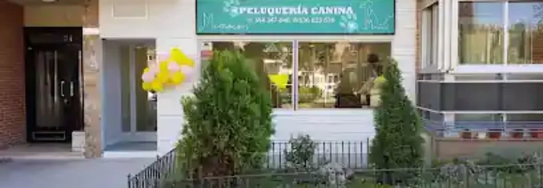 Mimocan Peluquería Canina