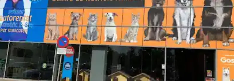 Mircat Salt