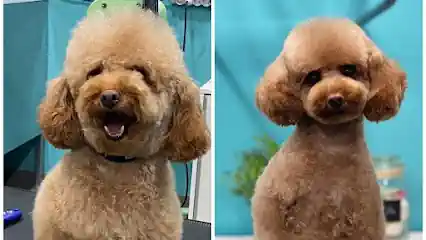 Mr. Dog