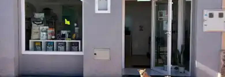 Mr. Rufo Peluquería Canina