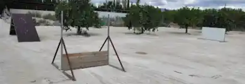 MurciaSportcan