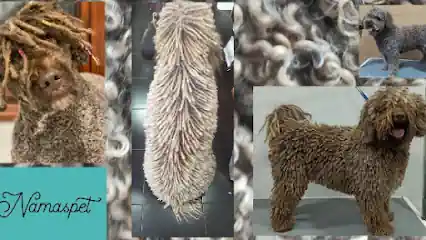 Namaspet