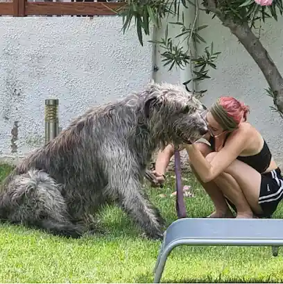 Natalia Torres Grooming