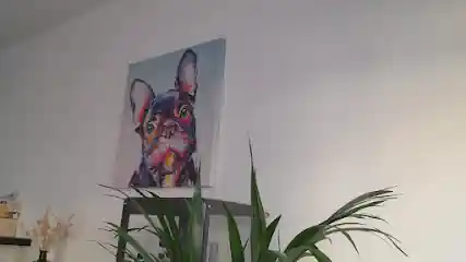 Nuria Mj estilista canino