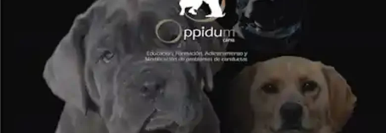 Oppidum canis