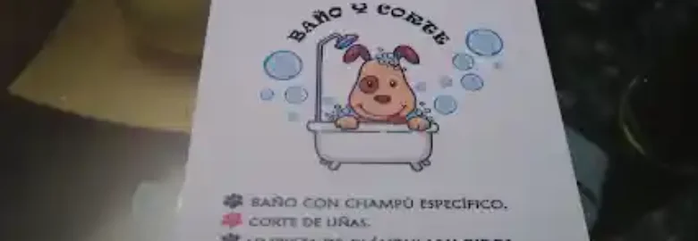 PELUQUERIA CANINA ALICIA RUIZ (PELUDOG)