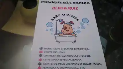 PELUQUERIA CANINA ALICIA RUIZ (PELUDOG)