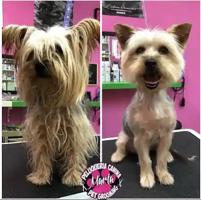 PELUQUERIA CANINA MARTA