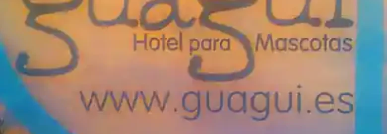 PELUQUERIA GUAGÜI