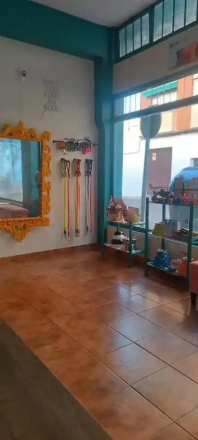 PERREO ESTÉTICA CANINA