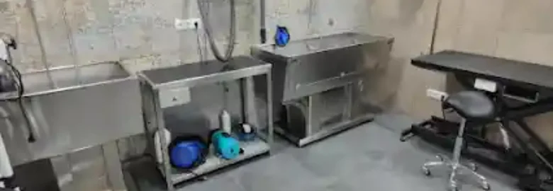 PERRUQUERIA CANINA I FELINA SELVATICS