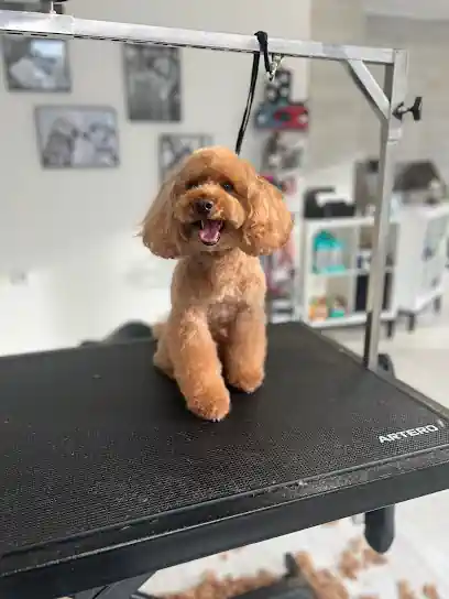 PLDS Peludos
