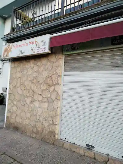 Pajareria Sur