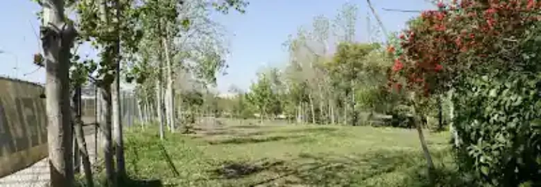 Parque Canino Escuela Canina Quercus