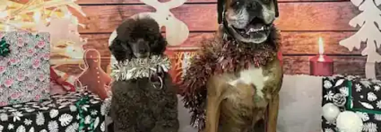 Peixecan Peluquería Canina