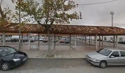 PelookCanina