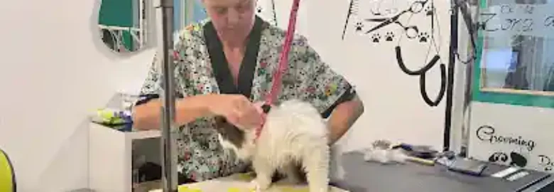 Pelucan Barakaldo – Peluquería canina y felina