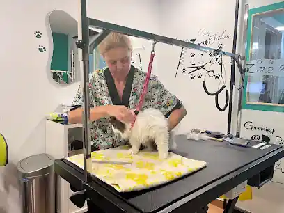 Pelucan Barakaldo – Peluquería canina y felina