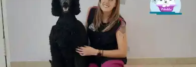 Peludetes Peluquería & Spa Canino