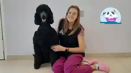 Peludetes Peluquería & Spa Canino