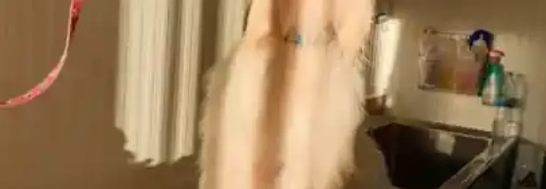 Peludog peluqueria canina marbella