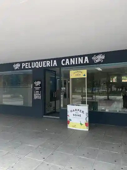 Peludos Coquetos